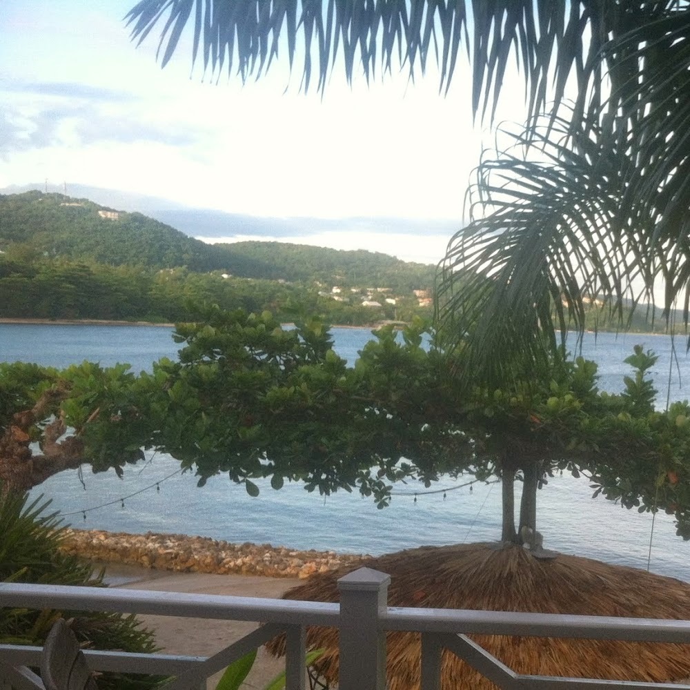 Meet your Posher, Kerry